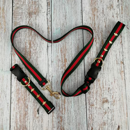 GG Leash & Collar
