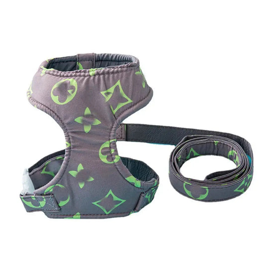 LV Print Harness & Leash